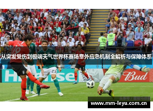 从突发受伤到极端天气世界杯赛场意外应急机制全解析与保障体系 从突发受伤到极端天气世界杯赛场意外应急机制全解析与保障体系